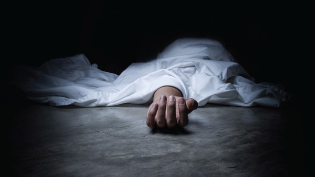 ফাইল ছবি