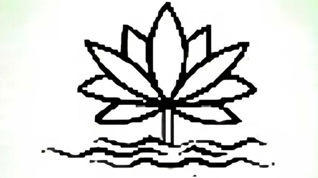 ‘ইসির প্রতীকের তালিকায় ‘শাপলা’ অন্তর্ভুক্ত হচ্ছে না’