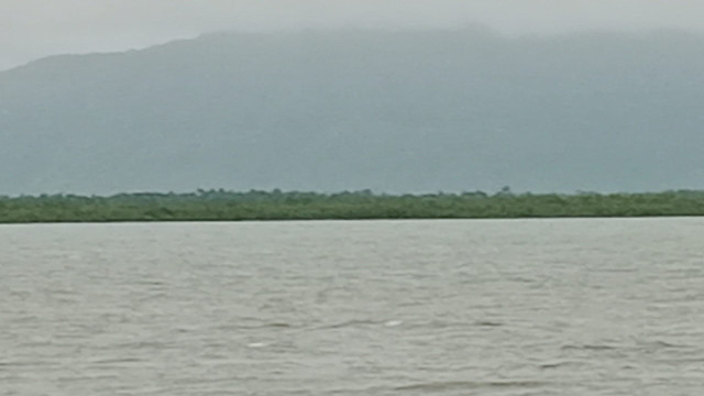 ফাইল ফটো