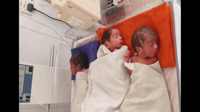 সংগৃহীত ফটো