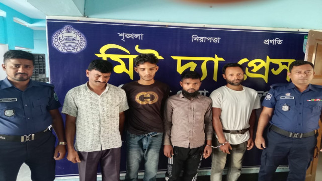 সংগৃহীত ফটো