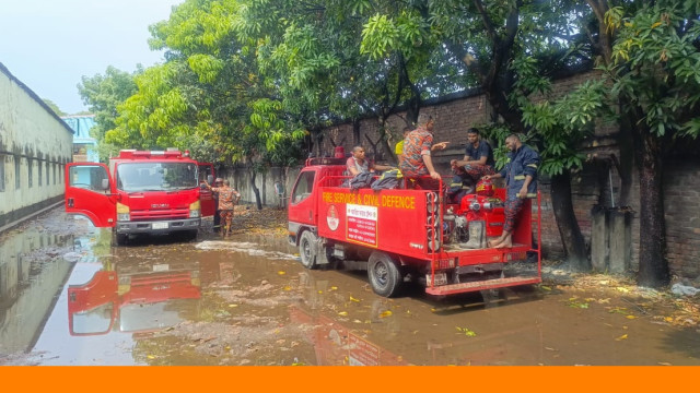 সংগৃহীত ফটো