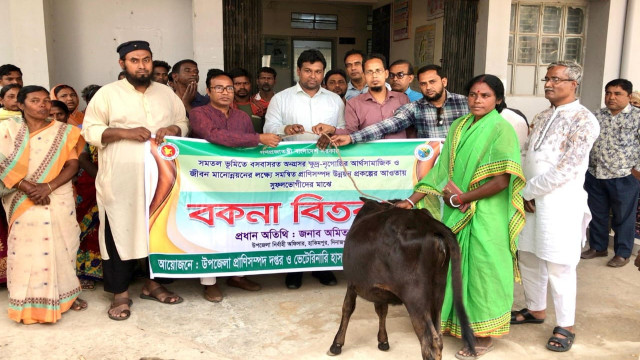 সংগৃহীত ফটো