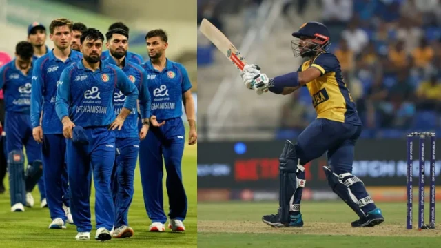 সংগৃহীত ফটো