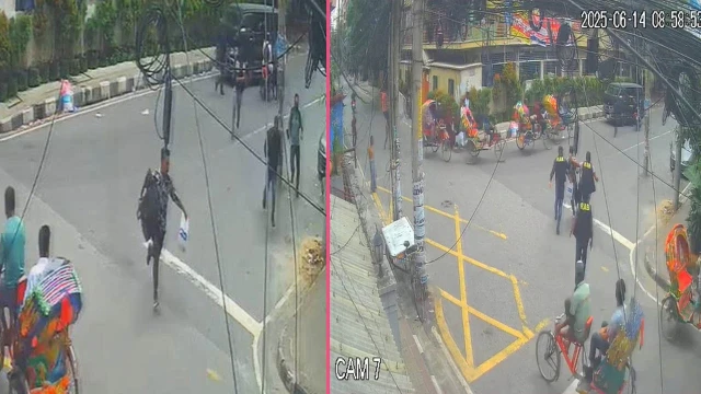 ছবি সংগৃহিত