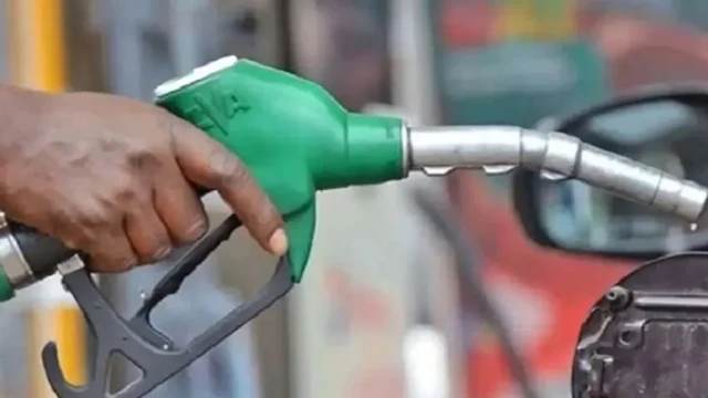 ফাইল ফটো