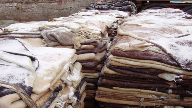 ফাইল ফটো