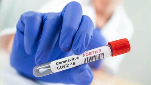 ফাইল ফটো