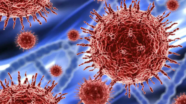 ফাইল ফটো