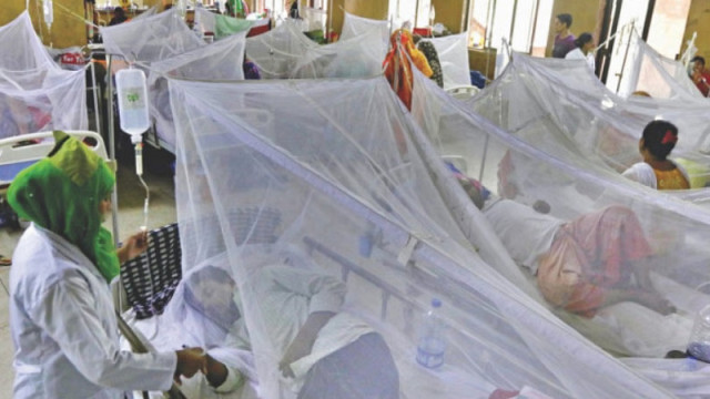 ডেঙ্গুতে একদিনে ৯ জনের মৃত্যু, হাসপাতালে ১০৪২