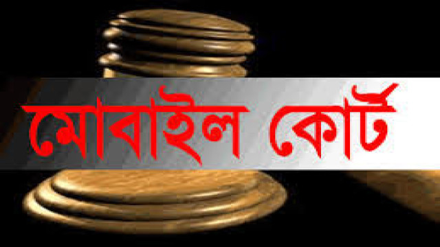 ফাইল ফটো