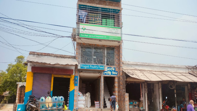 সংগৃহীত ফটো