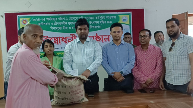 সংগৃহীত ফটো