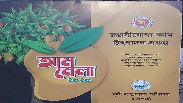 ফাইল ফটো