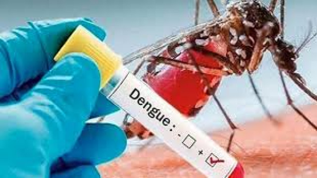 ডেঙ্গুতে আরো ২ জনের মৃত্যু, হাসপাতালে ৬২৫