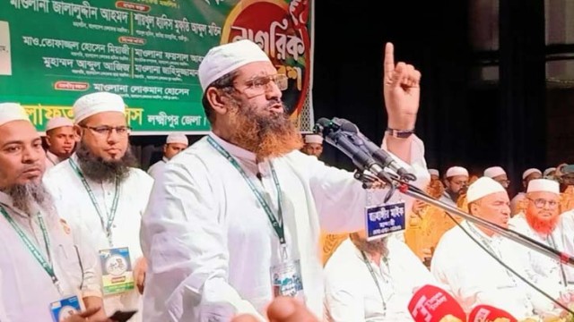 বিএনপিকে ভূতে ধরেছে: মামুনুল হক