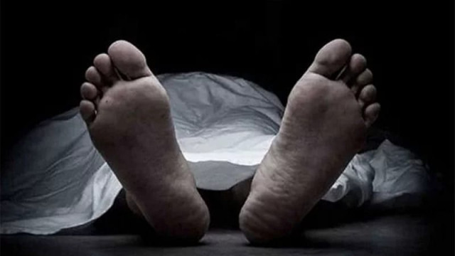 ফাইল ফটো