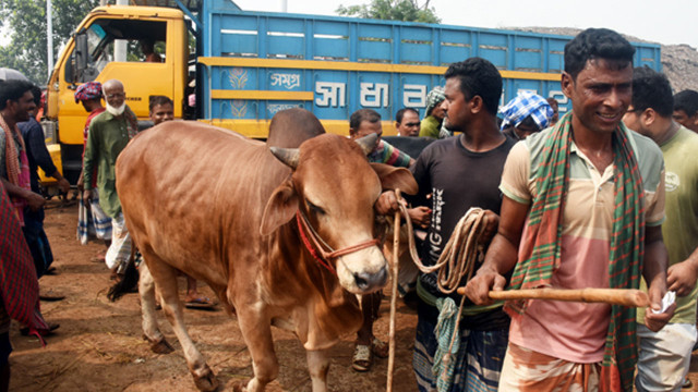 ফাইল ফটো
