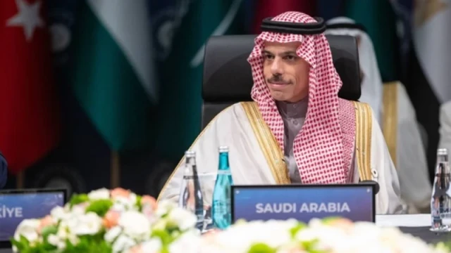 সৌদি আরবের পররাষ্ট্রমন্ত্রী, ছবি: সংগৃহীত