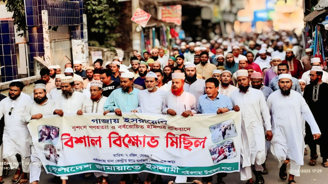 সংগৃহীত ফটো