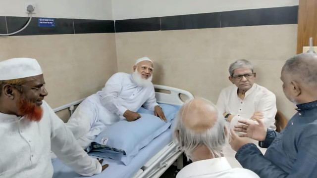 ফাইল ফটো