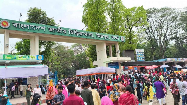 পশুপাখি দেখতে চিড়িয়াখানায় দর্শনার্থীদের উপচে পড়া ভিড়